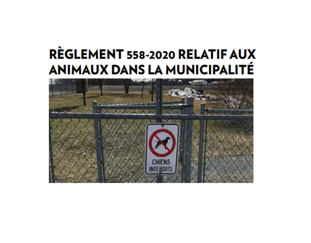 Règlement 558-2020 relatif aux animaux dans la Municipalité