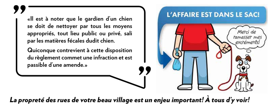 Image et texte_L'affaire est dans le sac_Bagotier nov. 2019