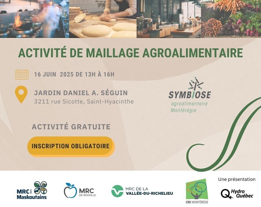 Image Activité maillage