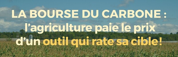 Image Bourse carbone
