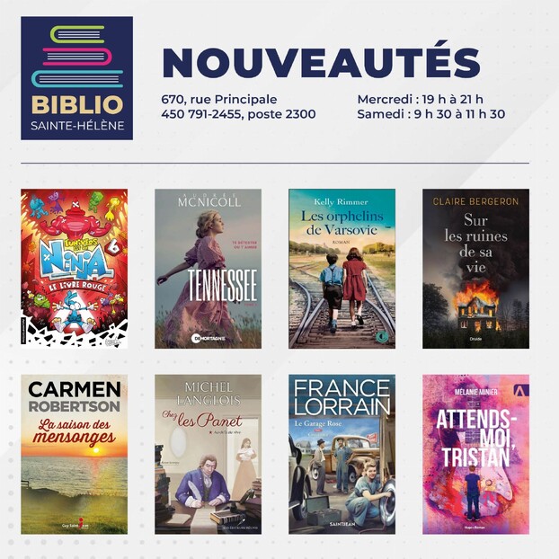 Affiche biblio pub 1