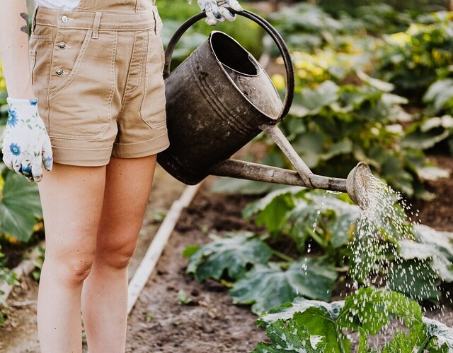 Une nouvelle forêt nourricière à Sainte-Hélène-de-Bagot !