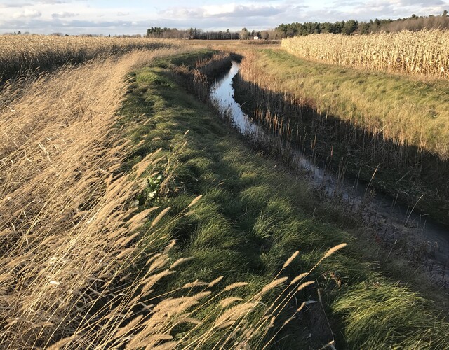 Soirée conférence virtuelle et AGA le 30 mars 2022 - Comité de Revitalisation de la rivière Chibouet (CRRC)