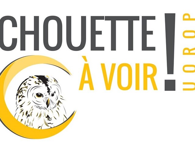 Chouette à voir! est ouvert au public depuis le 24 juin dernier!