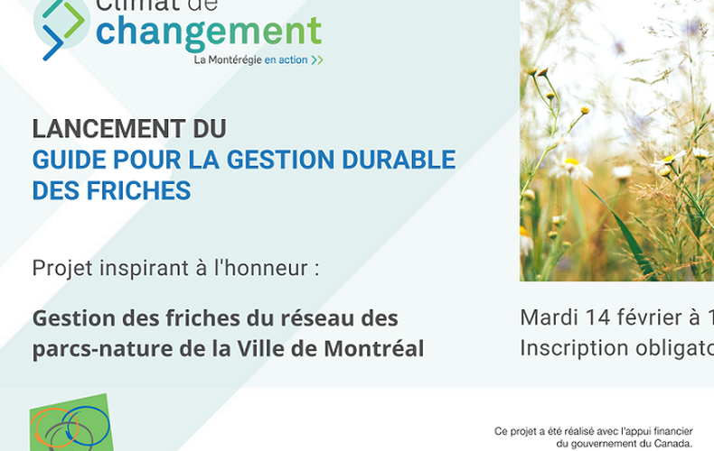 Lancement du Guide pour la gestion durable des friches à différentes échelles territoriales