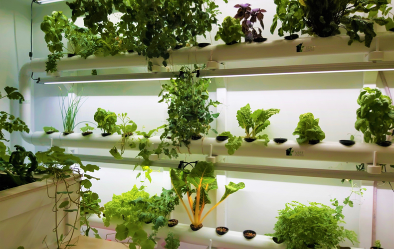 Société d'horticulture et d'écologie « Les Trois Clochers » - Conférence sur L'hydroponie - Cultiver à l'intérieur, même en hiver