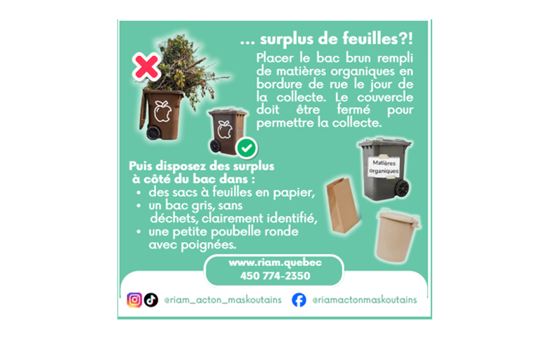 RIAM - Un surplus de feuilles?