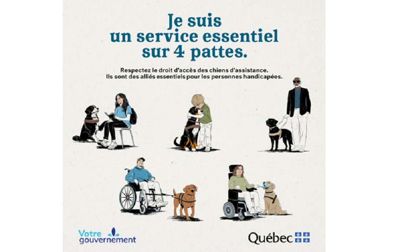 Office des personnes handicapées du Québec (OPHQ) - Campagne de sensibilisation sur les chiens d'assistance