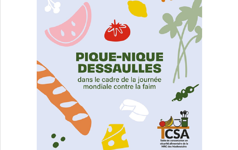 Le pique-nique Dessaulles du 14 juin 2025, c'est bien plus qu'un lunch au parc!