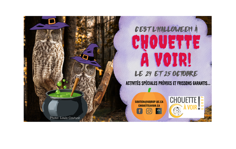 C'est l'Halloween à Chouette à voir!