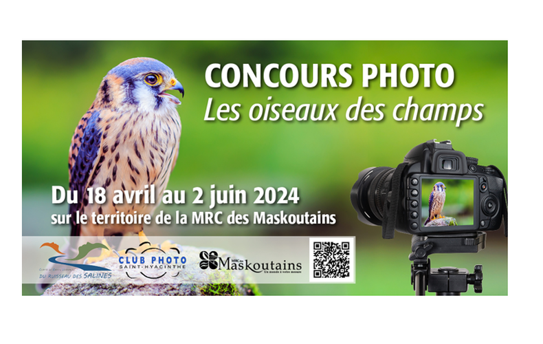 MRC des Maskoutains - 2e concours photo : Les oiseaux des champs - Du 18 avril au 2 juin 2024