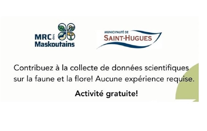 La MRC des Maskoutains vous invite à participer à son premier BioBlitz