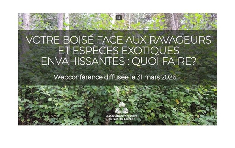 Rediffusion de la Webconférence sur les ravageurs et les espèces envahissantes disponible