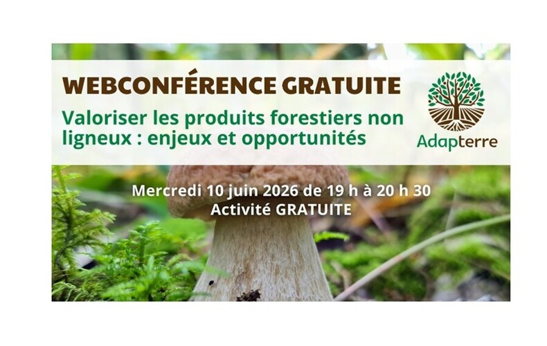 Association forestière du sud du Québec (AFSQ) - Webconférence gratuite le 10 juin 2026