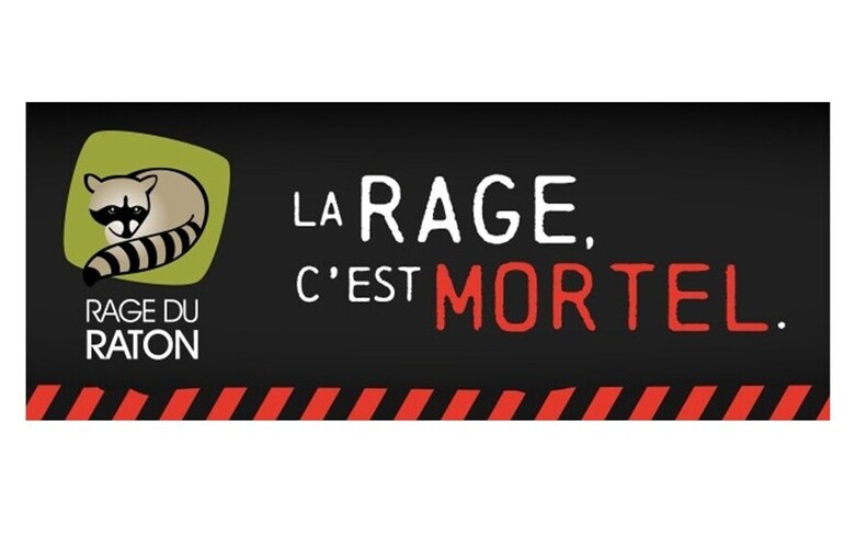 Prolongation des mesures jusqu'au 6 juin 2026 - Interdiction de déplacement d'animaux à Sainte-Hélène-de-Bagot, en Estrie et en Montérégie