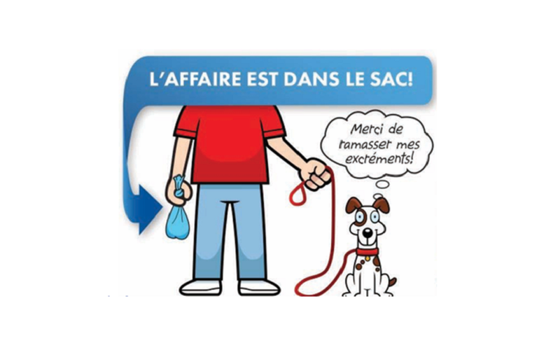 Les cacas de votre chien doivent être ramassés. C'EST VOTRE RESPONSABILITÉ!