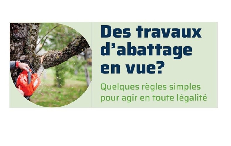 MRC des Maskoutains - Abattage d'arbres