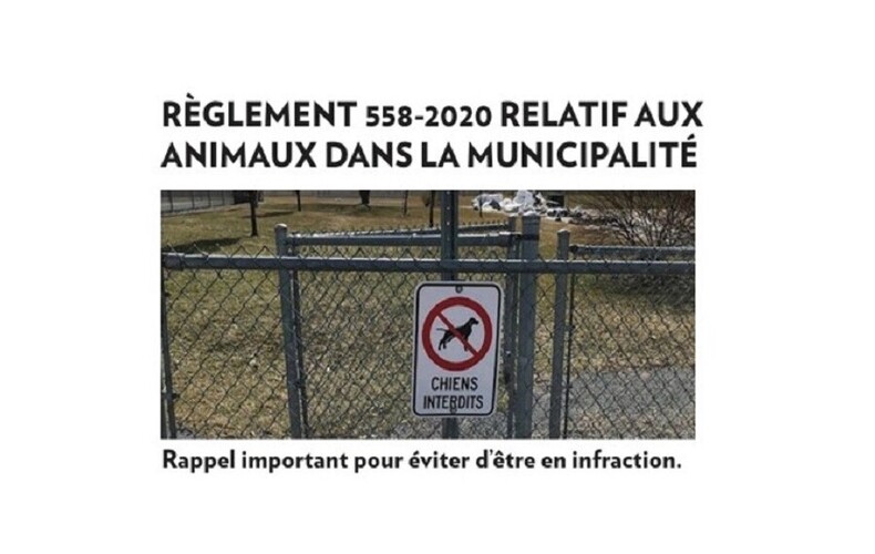 Règlement relatif aux animaux dans la municipalité