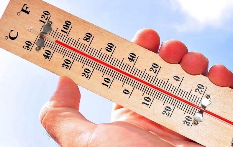 Canicule - précautions