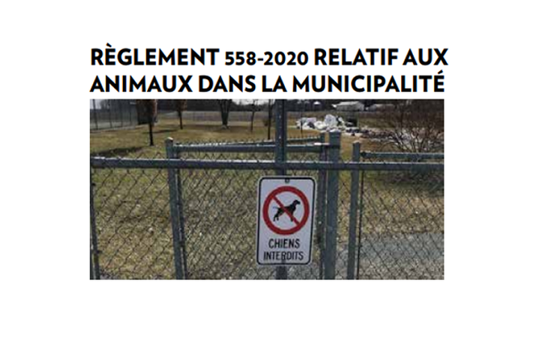 Règlement 558-2020 relatif aux animaux dans la Municipalité