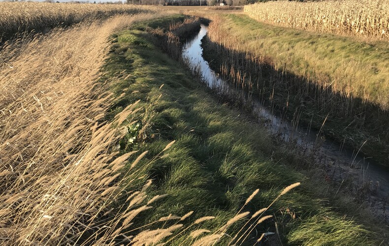 Soirée conférence virtuelle et AGA le 30 mars 2022 - Comité de Revitalisation de la rivière Chibouet (CRRC)