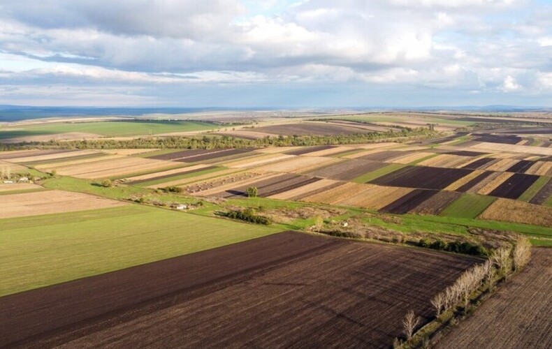 Subvention du MAPAQ pour productions végétale et apicole