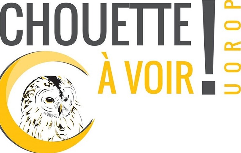 Chouette à voir! est ouvert au public depuis le 24 juin dernier!