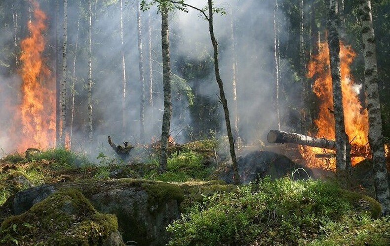 Interdiction de faire des feux à ciel ouvert et interdiction d'accès en forêt