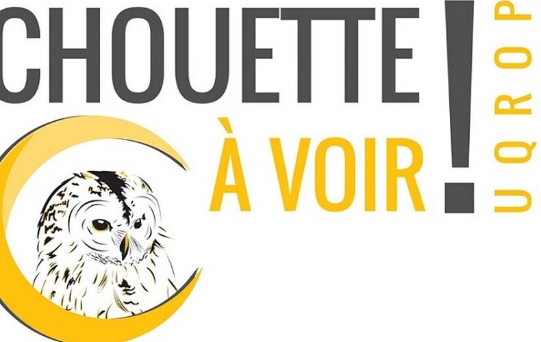 Les Journées blanches et safari nocturne - Activité pour la relâche scolaire